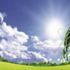 推进规模化绿电开发清洁能源示范基地建设